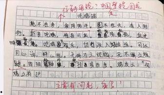 娱乐吃瓜酱仿写